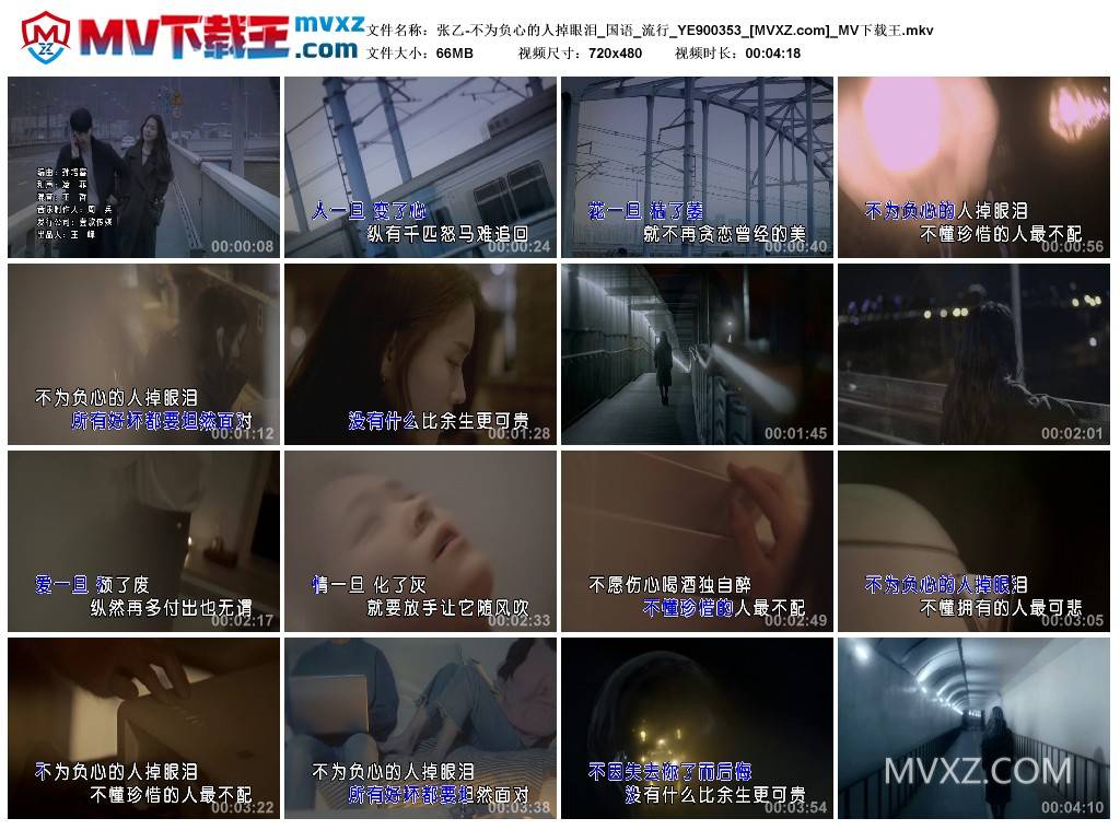 张乙-不为负心的人掉眼泪_国语_流行_YE900353